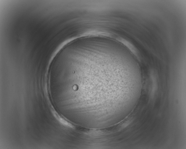 X0000082991094200702081828