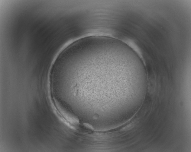 X0000082991096200702081828