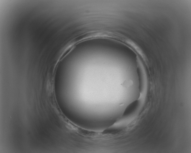 X0000082991097200702081828