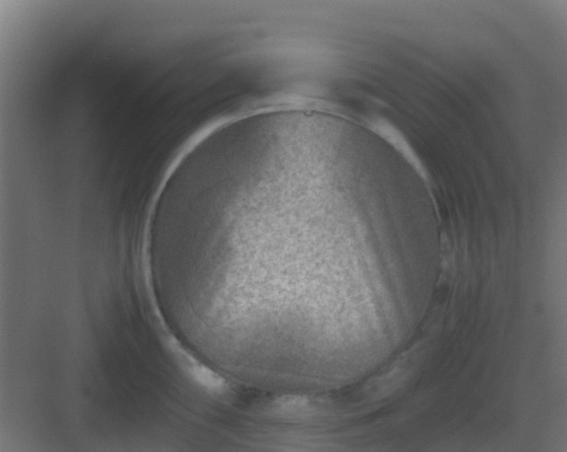 X0000082991098200702081828