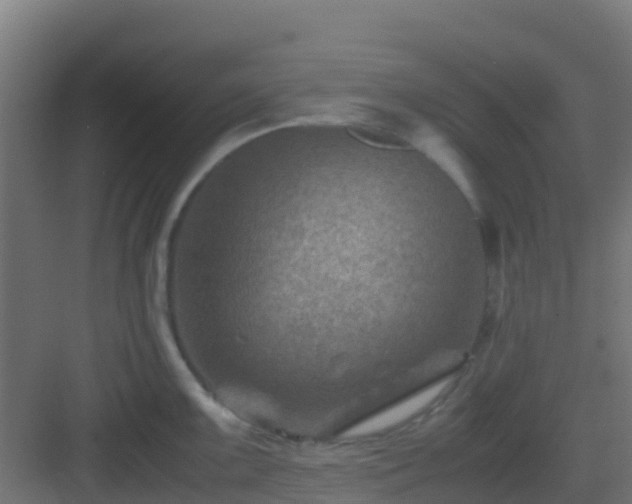 X0000082991099200702081828