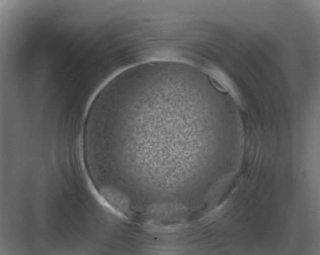 X0000082991100200702081828