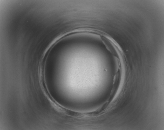 X0000082991101200702081828