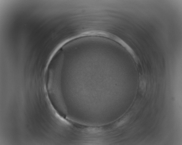 X0000082991102200702081828