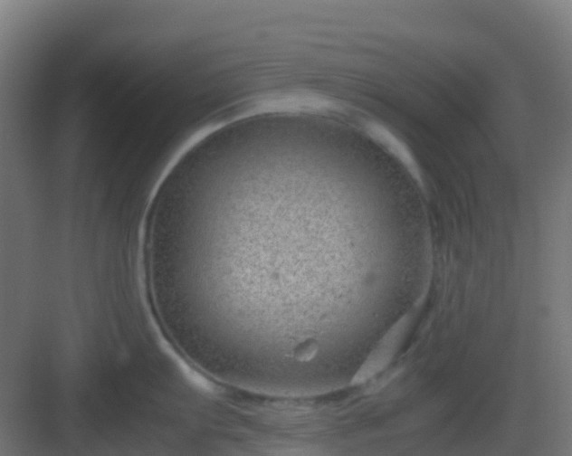 X0000082991103200702081828