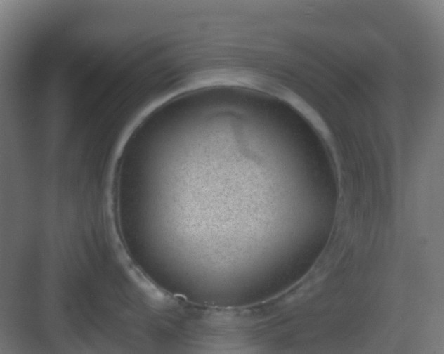 X0000082991104200702081828