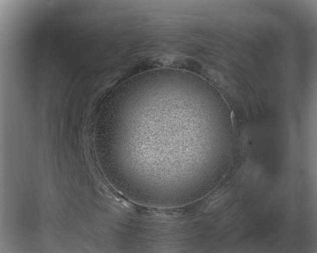 X0000082991105200702081827