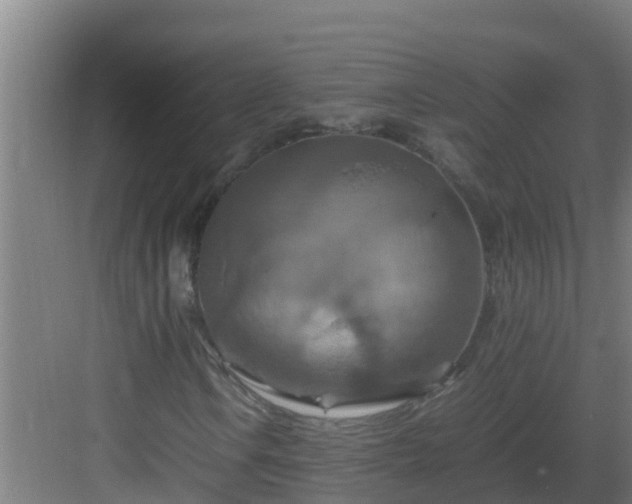 X0000082991106200702081827