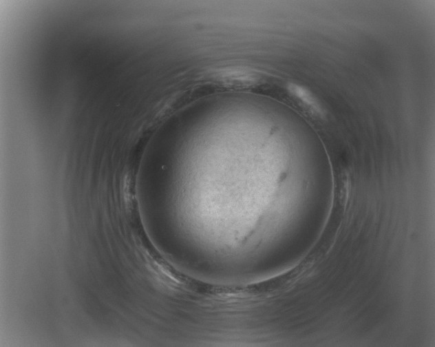 X0000082991108200702081827