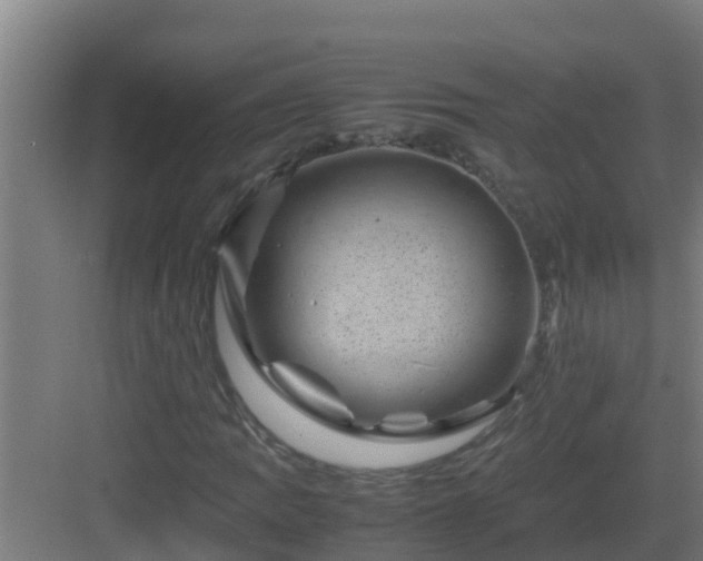 X0000082991109200702081827