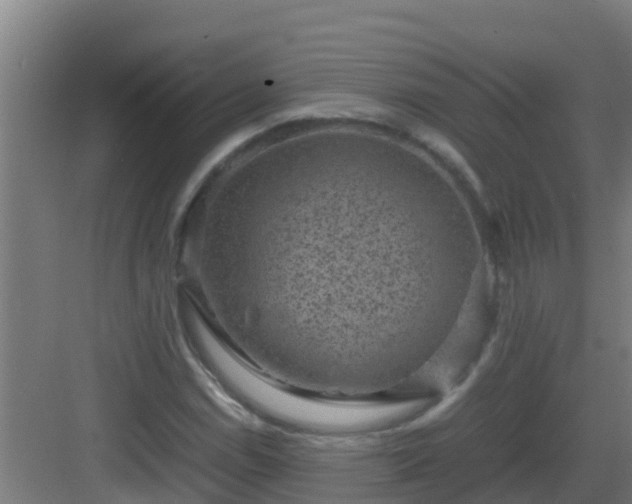 X0000082991114200702081827