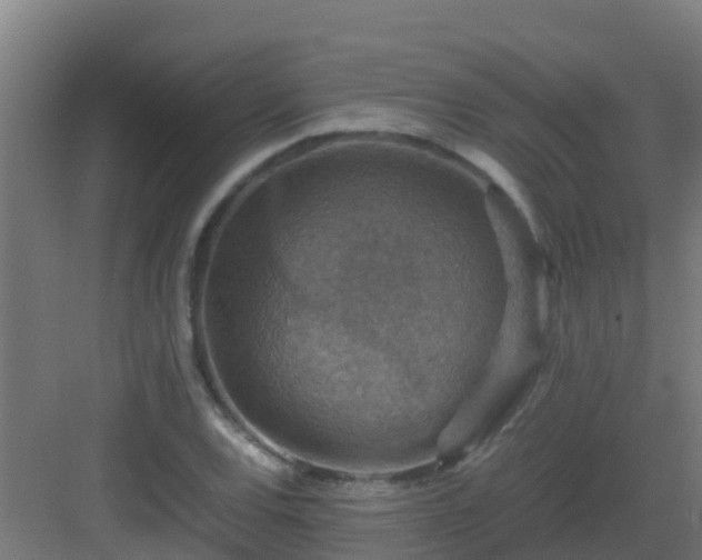 X0000082991120200702081827