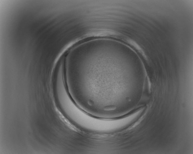 X0000082991122200702081827