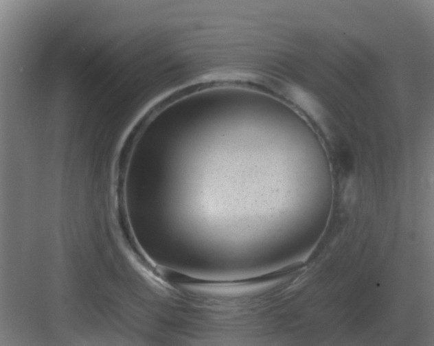 X0000082991124200702081827