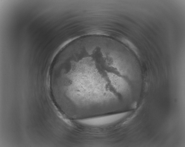 X0000082991125200702081827