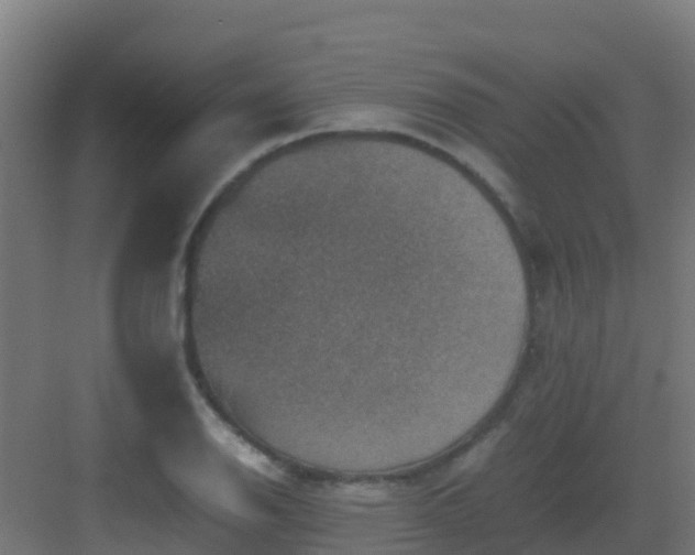 X0000082991126200702081827