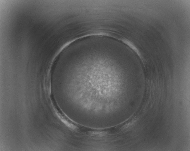 X0000082991127200702081827