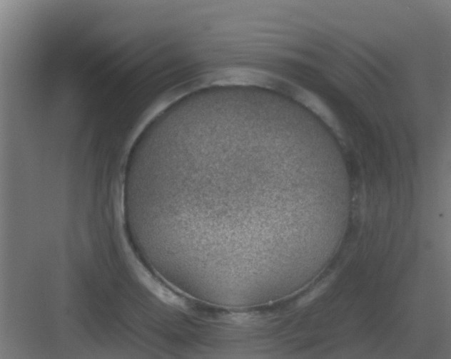 X0000082991130200702081827