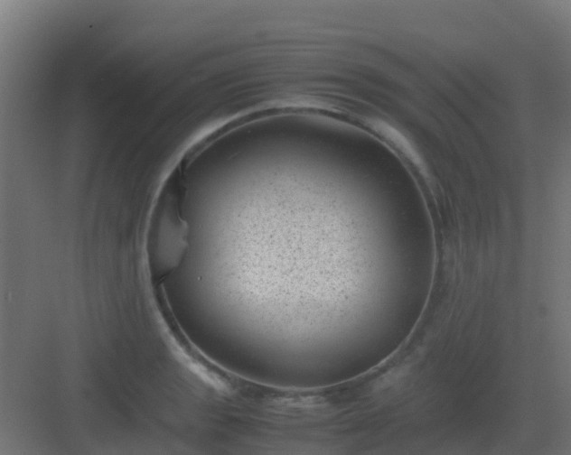 X0000082991133200702081827