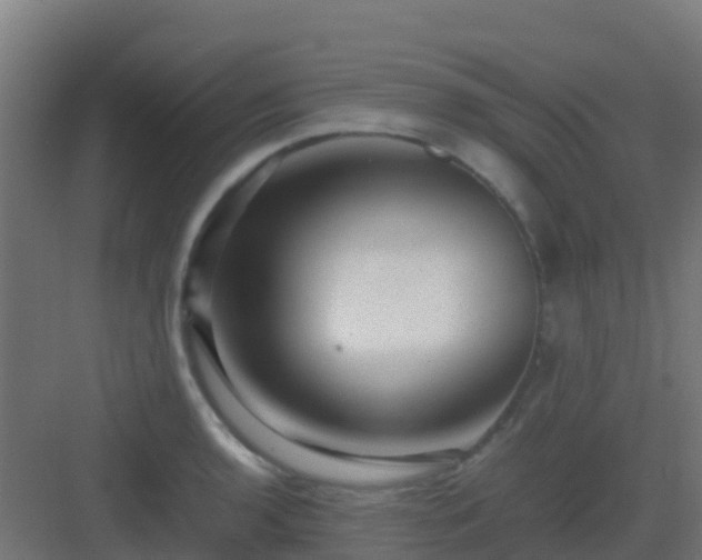 X0000082991136200702081827