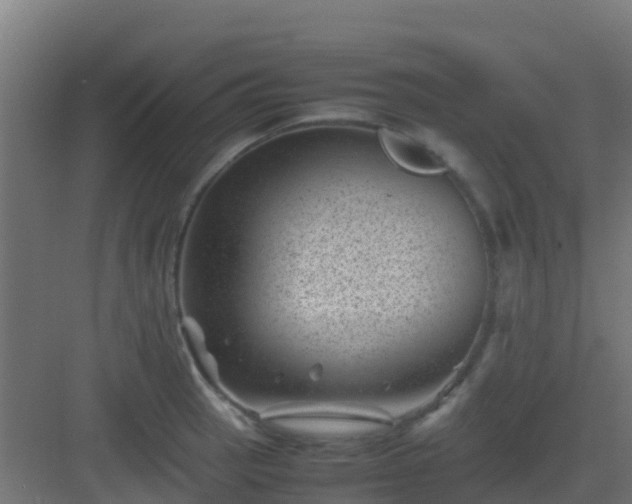 X0000082991137200702081827