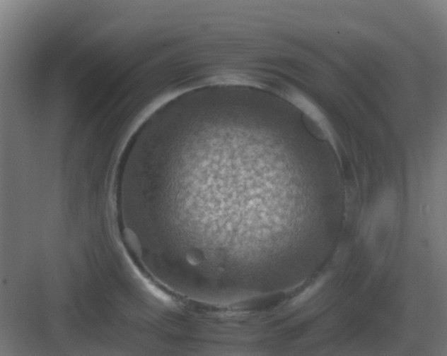 X0000082991141200702081827