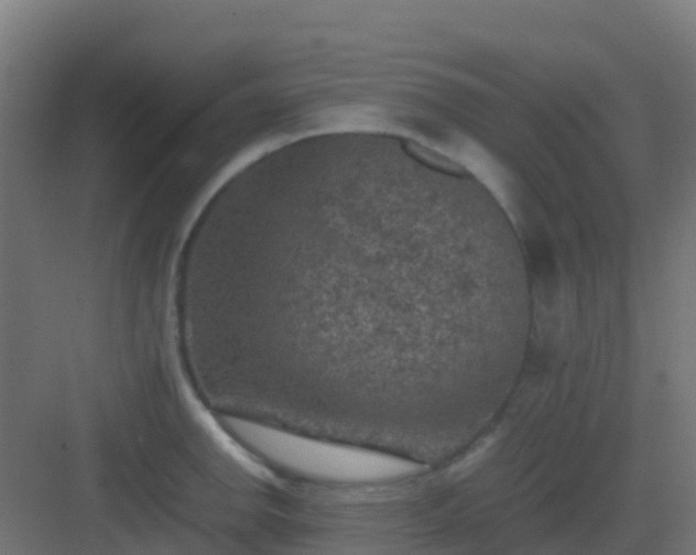 X0000082991142200702081827