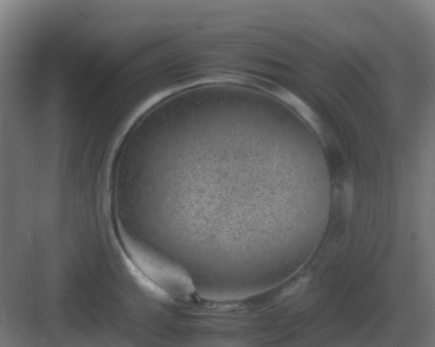 X0000082991143200702081827