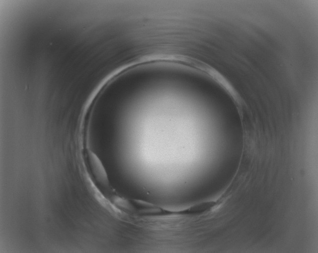 X0000082991148200702081827