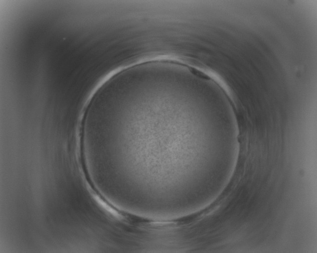 X0000082991151200702081828