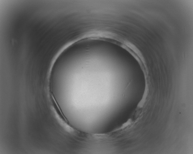 X0000082991152200702081828