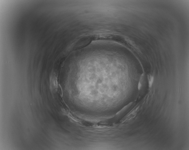 X0000082991155200702081827