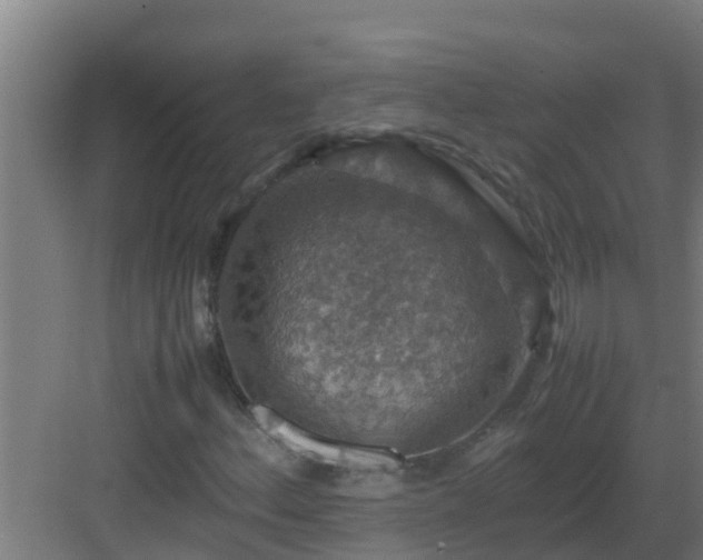 X0000082991156200702081827