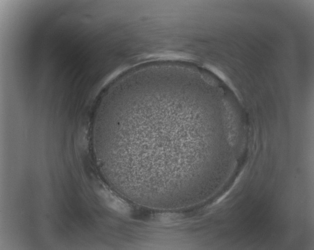 X0000082991163200702081827