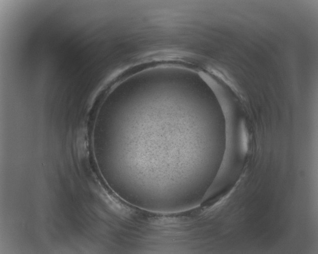 X0000082991164200702081827