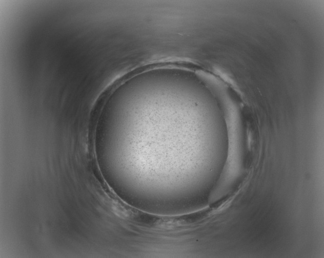 X0000082991165200702081827