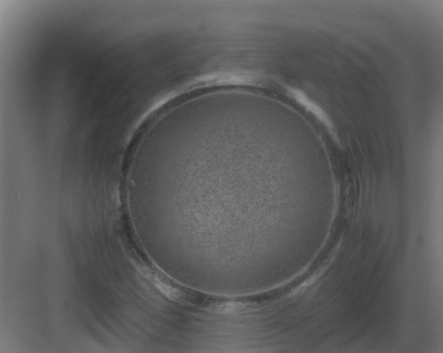 X0000082991166200702081827