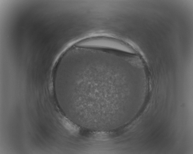 X0000082991167200702081826