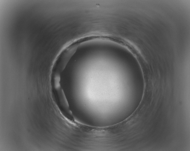 X0000082991168200702081826