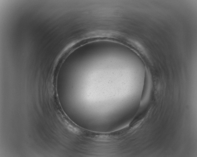 X0000082991172200702081826