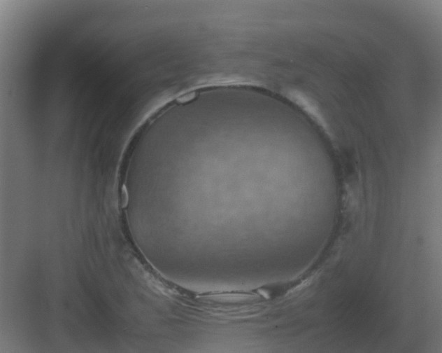 X0000082991173200702081826