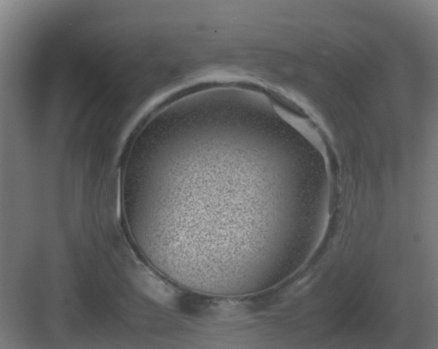 X0000082991175200702081826