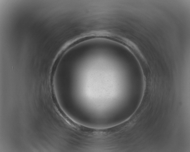 X0000082991176200702081826