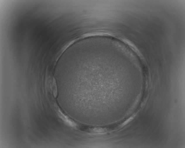 X0000082991177200702081826