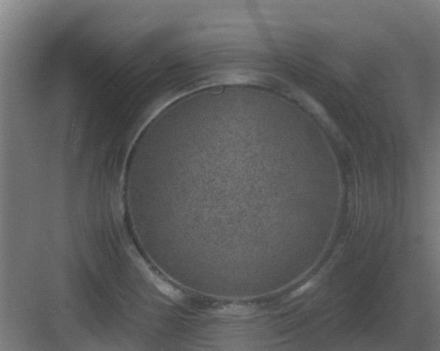 X0000082991178200702081826