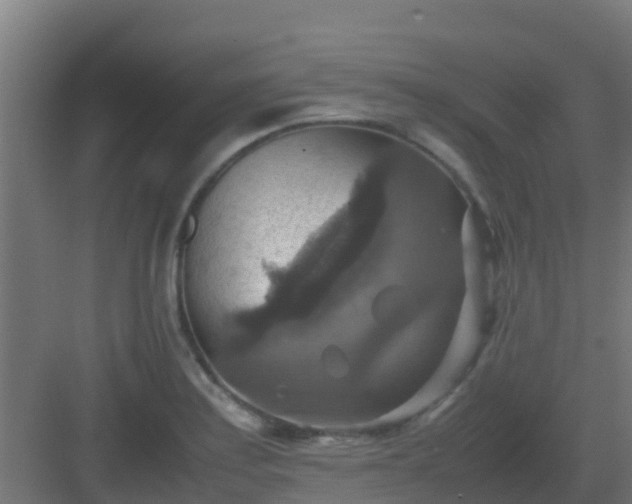 X0000082991179200702081826