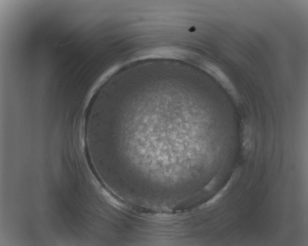 X0000082991180200702081826