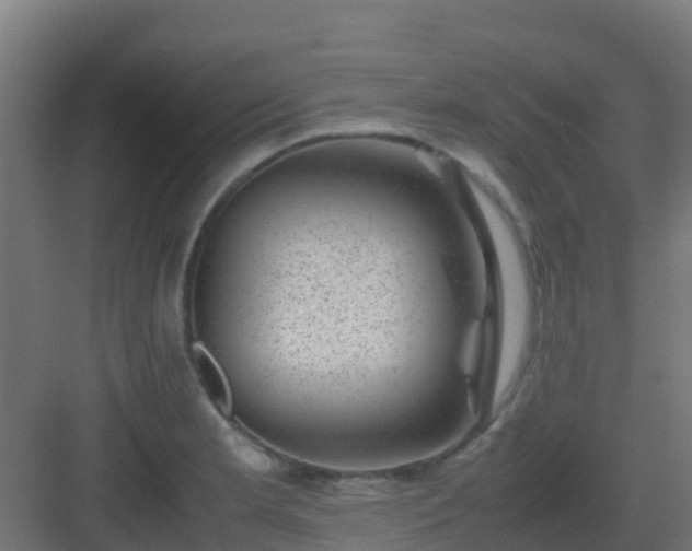 X0000082991181200702081826