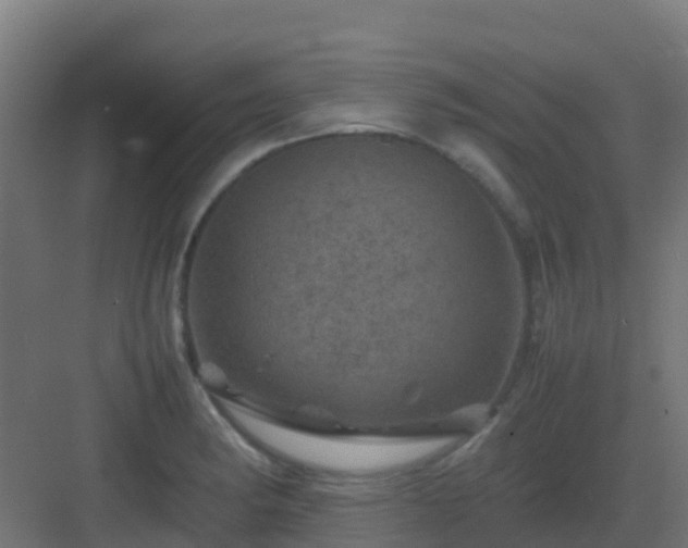 X0000082991182200702081826