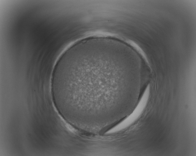 X0000082991183200702081826